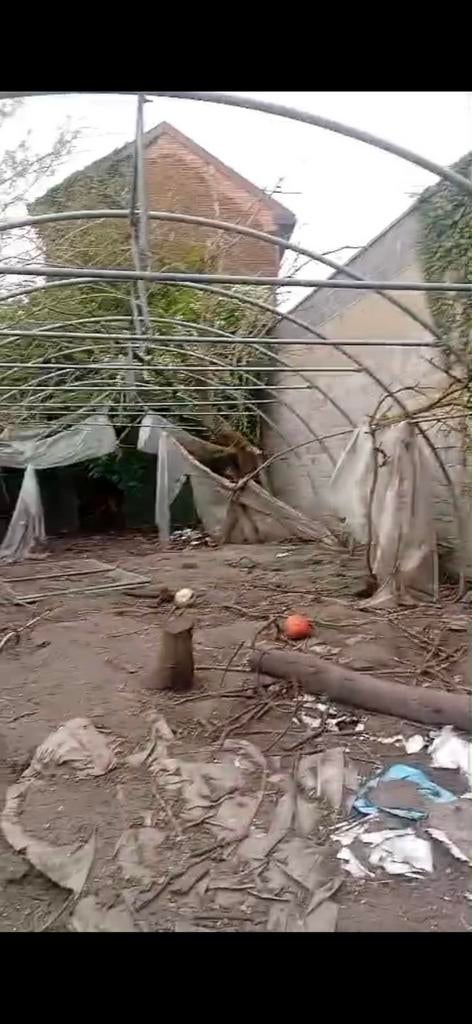 Serre, Jardin & Terrasse, Enlèvement, Serre