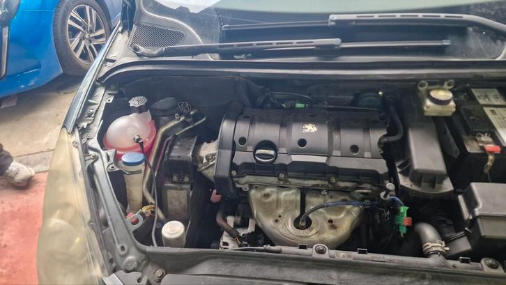 Moet weg, Autos, Peugeot, Particulier, Enlèvement