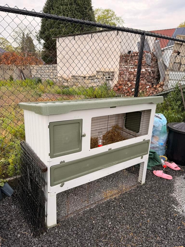 2 dwerg konijnen met grote kooi en toebehoren., Ophalen, Zo goed als nieuw, Kooi