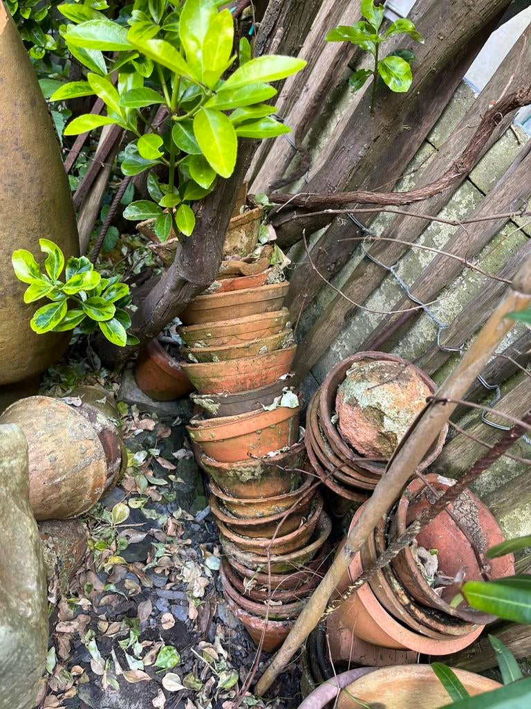 Difficultés portugaises (25), Enlèvement, Comme neuf