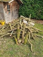 Snoeihout eik en berk, Tuin en Terras, Brandhout, Ophalen, Eikenhout, Takken