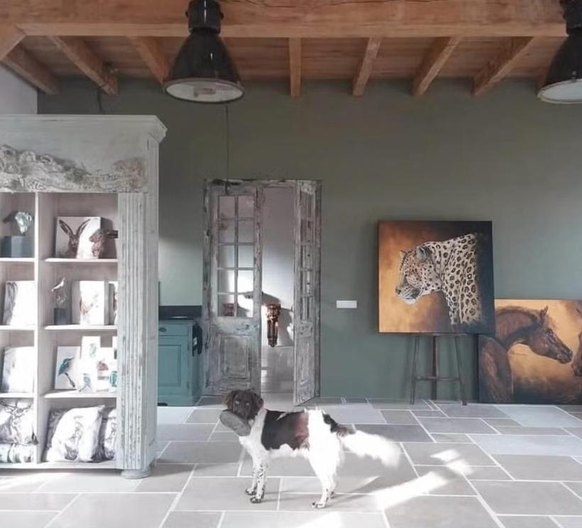 NEW! DALLEN CASTILE CHATEAU, GROOT WILDVERBAND!, Ophalen, Nieuw, Overige materialen