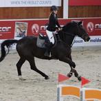 Stalhulp, lesgeven, rijden,scheren etc op zelfstandige basis, Dieren en Toebehoren, Paarden