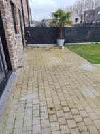 Pavés en béton GRATUITS, Jardin & Terrasse, Pavé & Dalles, Enlèvement