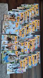 Meer dan 45 penny's, Boeken, Ophalen