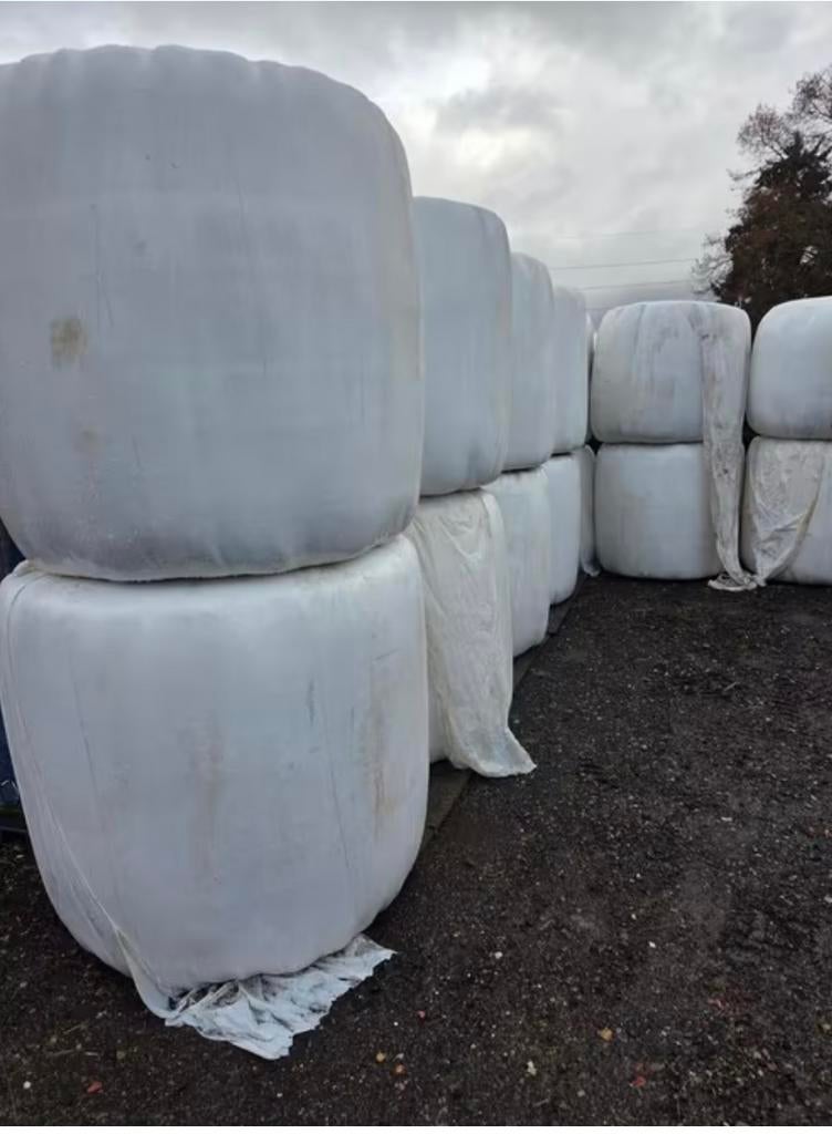 Voordroog, Enlèvement