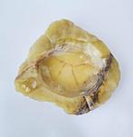 Oude grote onyx marmeren vide-poche/ asbak/schaal, Ophalen of Verzenden