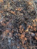 Gratis paardenmest, Ophalen