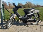 Honda wallaroo, Vélos & Vélomoteurs, Autres modèles, Enlèvement ou Envoi, 49 cm³, Comme neuf