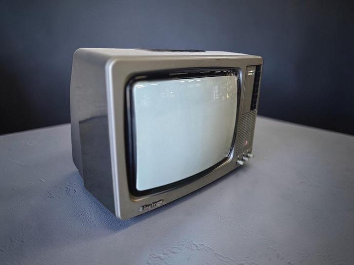 téléviseur couleur vintage/TV SHARP 515031 Linytron, TV, Hi-fi & Vidéo, Télévisions vintages, Sharp, Enlèvement