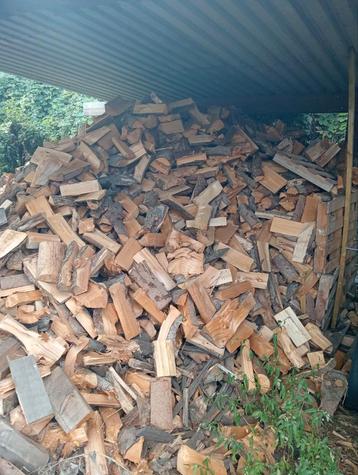 Brandhout den en mast beschikbaar voor biedingen