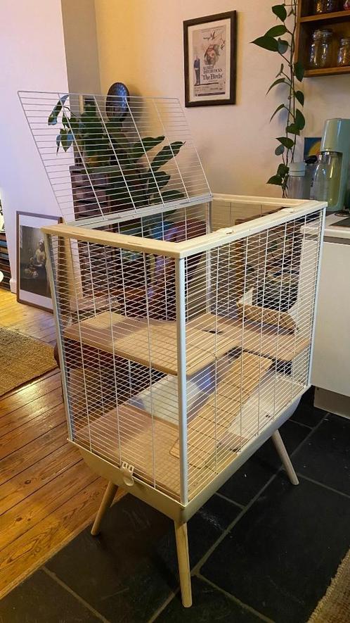 Stijlvolle kooi voor knaagdieren (+ toebehoren), Dieren en Toebehoren, Knaagdieren en Konijnen | Hokken en Kooien, Gebruikt, Kooi