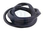 Volvo Rubber strip achterruit in klep 245 chassisnr 785.132+, Ophalen of Verzenden, Nieuw