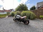 CF moto CL-X 700 Heritage, Motoren, Motoren | Overige merken, 700 cc, 2 cilinders, Particulier, Meer dan 35 kW