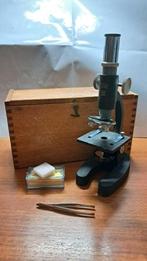 Vintage Microscoop met Houten Kist en Accessoires, Audio, Tv en Foto, Optische apparatuur | Microscopen, Ophalen, Gebruikt, Minder dan 400x