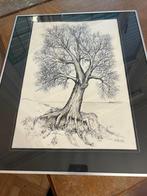Steinbach ets boom, Antiek en Kunst, Kunst | Etsen en Gravures, Ophalen