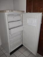 Diepvrieskast Miele, Elektronische apparatuur, Koelkasten en IJskasten, Ophalen, 120 tot 140 cm, 100 tot 150 liter, Zo goed als nieuw