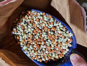 Luikse Speciaal Mix 1kg - Versele Laga beschikbaar voor biedingen