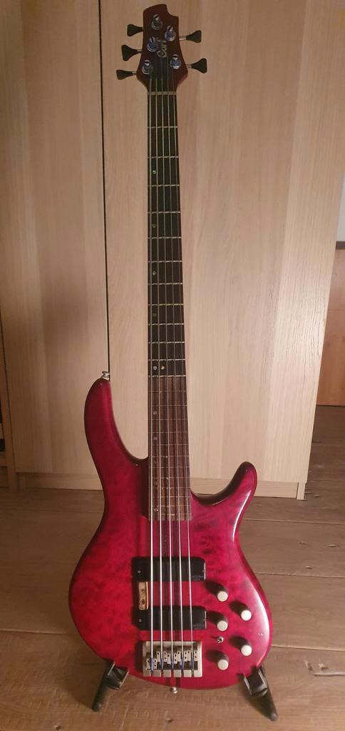 Basse Cort A5
Rouge, Musique & Instruments, Instruments à corde | Guitares | Basses, 5 cordes, Fretless, Enlèvement