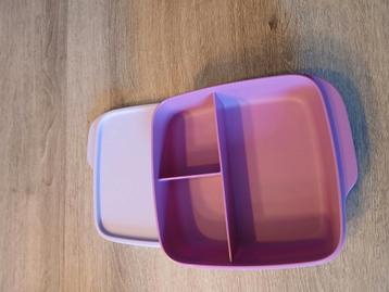 Tupperware, Enlèvement, Neuf