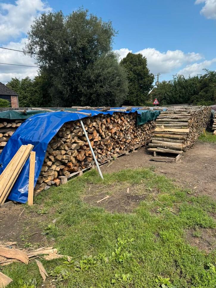 Bois de chauffage sec, Tuin en Terras, Brandhout, Beukenhout, Ophalen