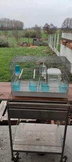 cage marque : COVA, Enlèvement, Utilisé, Métal, Cage à oiseaux