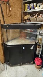 Aquarium, Ophalen, Zo goed als nieuw