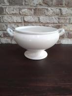 terrine boch, Ophalen of Verzenden