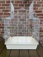 WITTE VOGELKOOI VOOR KANARIE-PARKIET NU 45 EURO, Enlèvement, Comme neuf, Autres matériaux, Cage à oiseaux
