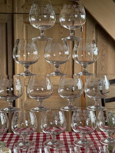 12  COGNACGLAASJES, Verzamelen, Glas en Drinkglazen, Zo goed als nieuw, Borrel- of Shotglas, Ophalen