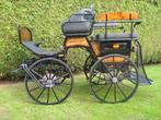 Koets Auman, Zo goed als nieuw, Wagonette, Paard of Pony