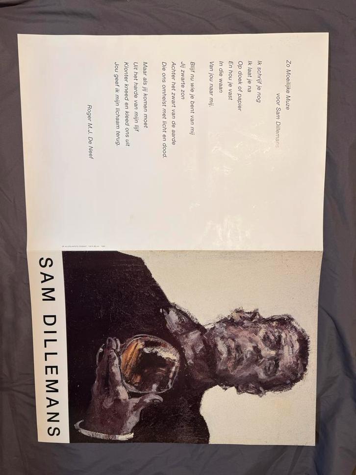 Sam Dillemans – “De allerlaatste cognac” – complete set, Boeken, Kunst en Cultuur | Beeldend, Zo goed als nieuw, Schilder- en Tekenkunst