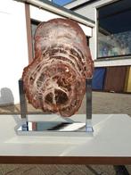 GROOT PETRIFIED WOOD SCULPTUUR VINTAGE ADO CHALE SCHMIDT, Ophalen