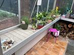 1 Serre rek, Tuin en Terras, Kassen, Ophalen