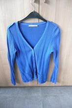 Blauwe gilet Melvin (K709b), Vêtements | Femmes, Taille 42/44 (L), Enlèvement ou Envoi, Melvin, Porté