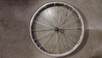 Campagnolo shamal ultra (voorwiel), Wiel, Campagnolo, Racefiets, Ophalen of Verzenden