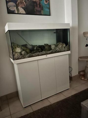 AQUARIUM GEZOCHT beschikbaar voor biedingen
