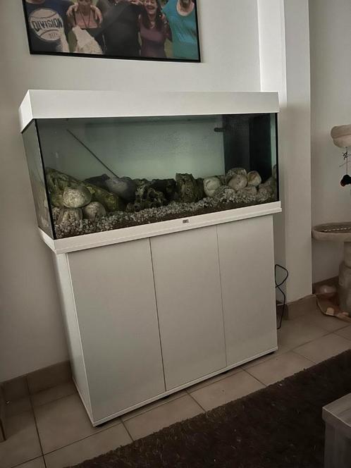 AQUARIUM GEZOCHT, Dieren en Toebehoren, Vissen | Aquaria en Toebehoren, Gebruikt, Ophalen
