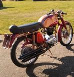 Mondial 175 Sprint, Motoren, Motoren | Oldtimers