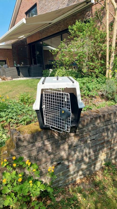 Ferplast hond of kat transporter, Dieren en Toebehoren, Transportboxen, Gebruikt, Ophalen