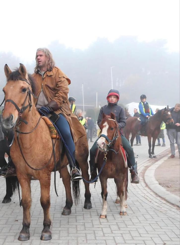 B pony welsh te koop inclusief zadel, 2 kopstukken en dekjes, Animaux & Accessoires, Chevaux & Poneys | Couvertures & Couvre-reins