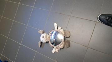 Baby spiegel beschikbaar voor biedingen