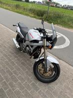 Cagiva river, Motoren, Particulier, Minimaal motorrijbewijs A2, 1 cilinder, Naked bike