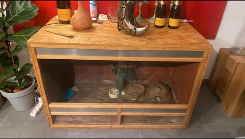 Terrarium, Dieren en Toebehoren, Reptielen en Amfibieën | Toebehoren, Zo goed als nieuw, Ophalen