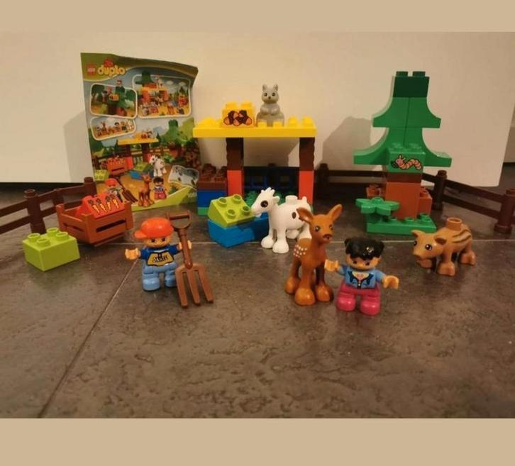 Het bos 10582, Kinderen en Baby's, Speelgoed | Playmobil, Zo goed als nieuw, Ophalen of Verzenden