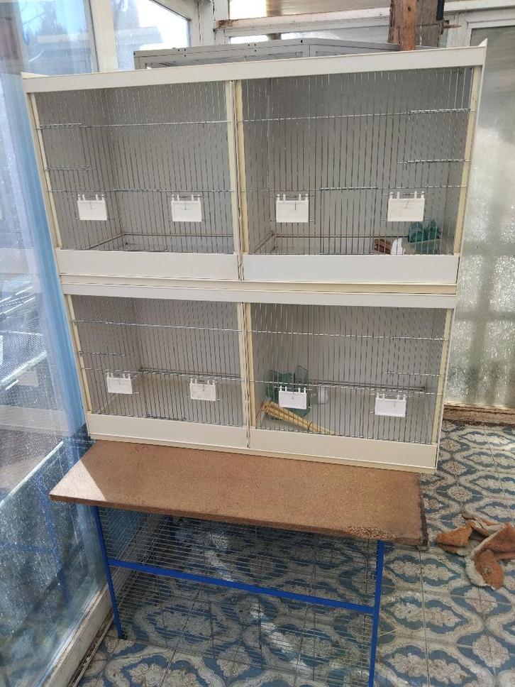Box d élevage double, Animaux & Accessoires, Oiseaux | Cages & Volières, Comme neuf, Cage d'élevage, Synthétique, Enlèvement
