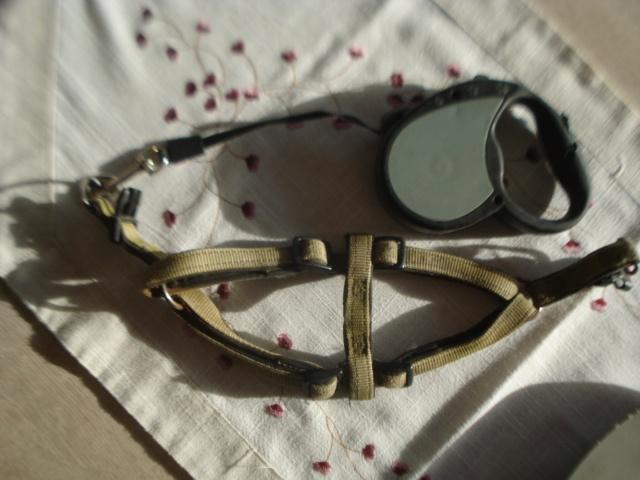 HONDENRIEM EN HARNET, Dieren en Toebehoren, Honden-accessoires, Zo goed als nieuw, Ophalen of Verzenden