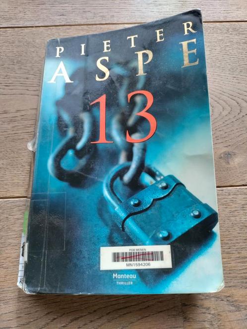 Pieter Aspe - 13, Livres, Thrillers, Utilisé, Enlèvement ou Envoi