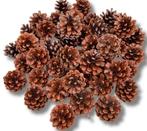 Dennenappels zeer mooie staat., Verzenden, Zo goed als nieuw