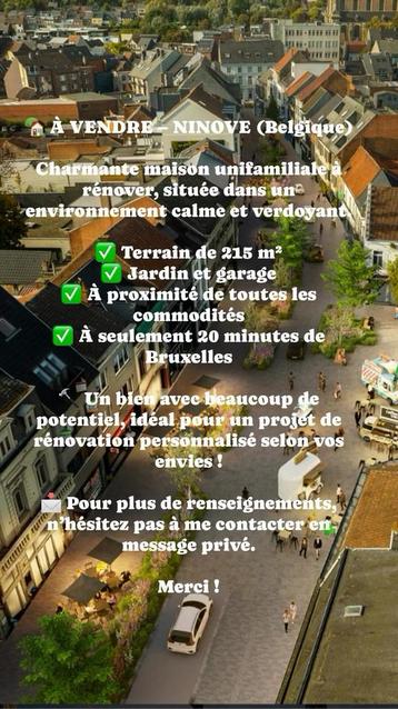 Maison a vendre Ninove Belgique beschikbaar voor biedingen